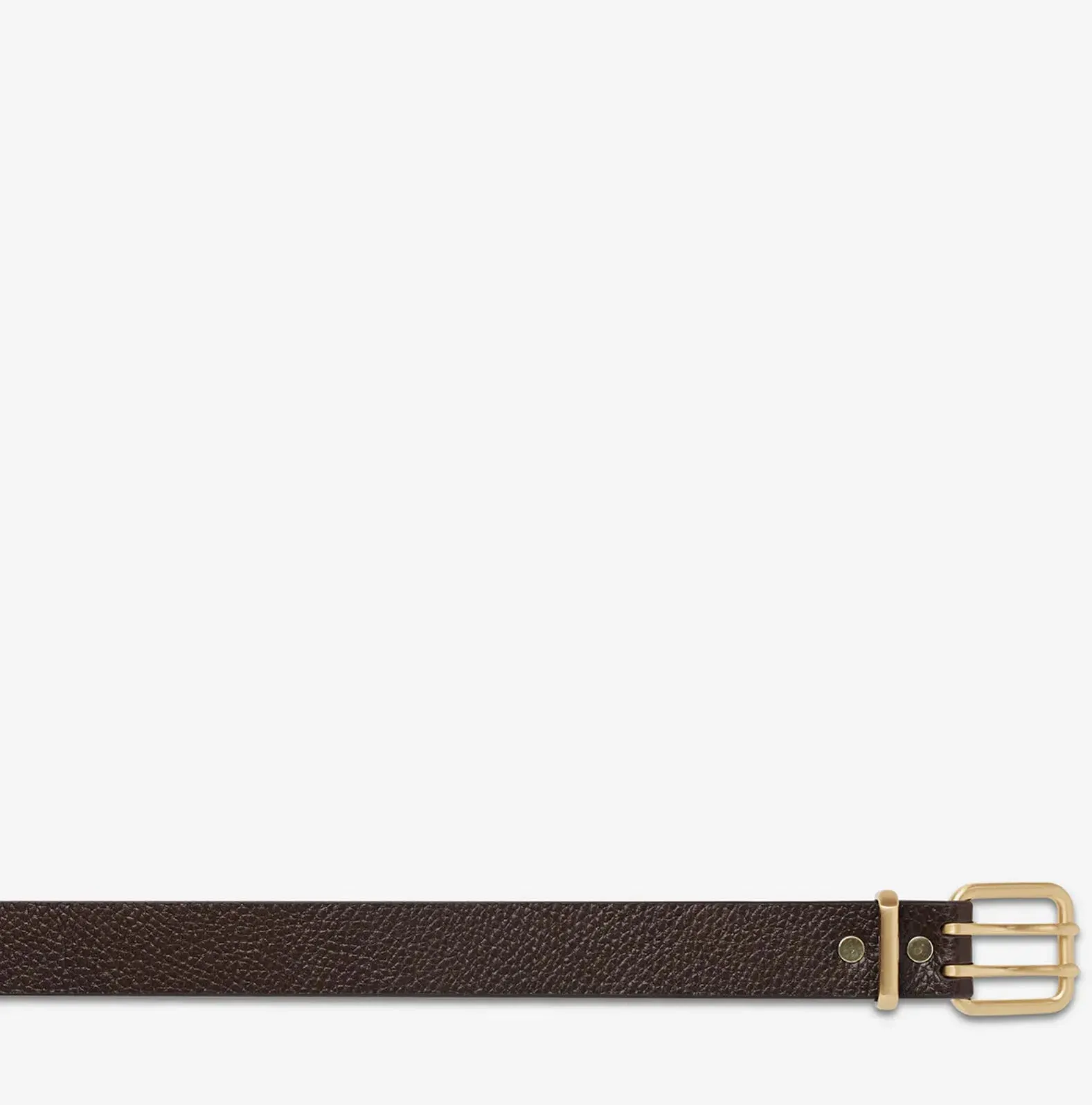 Status Anxiety Barely Moving Belt - Image 11